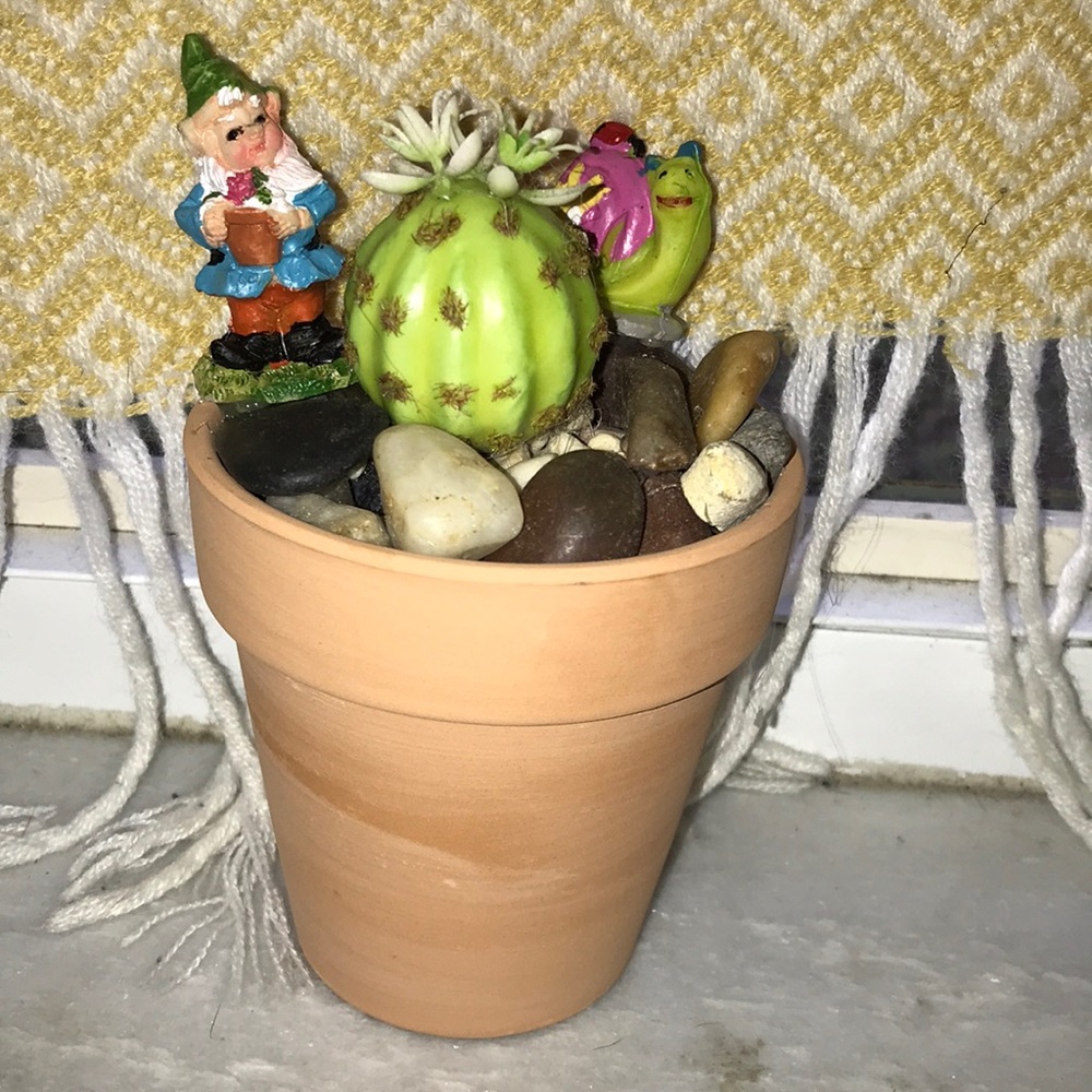 Fake plant / succulent decor